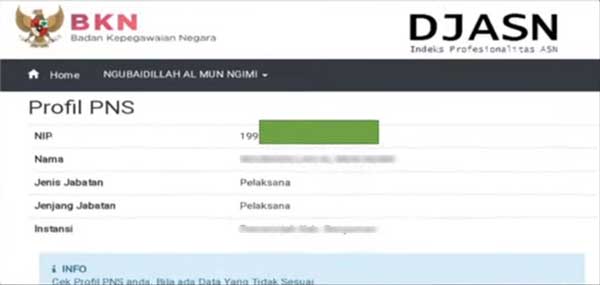 Hasil Cek Profil CPNS